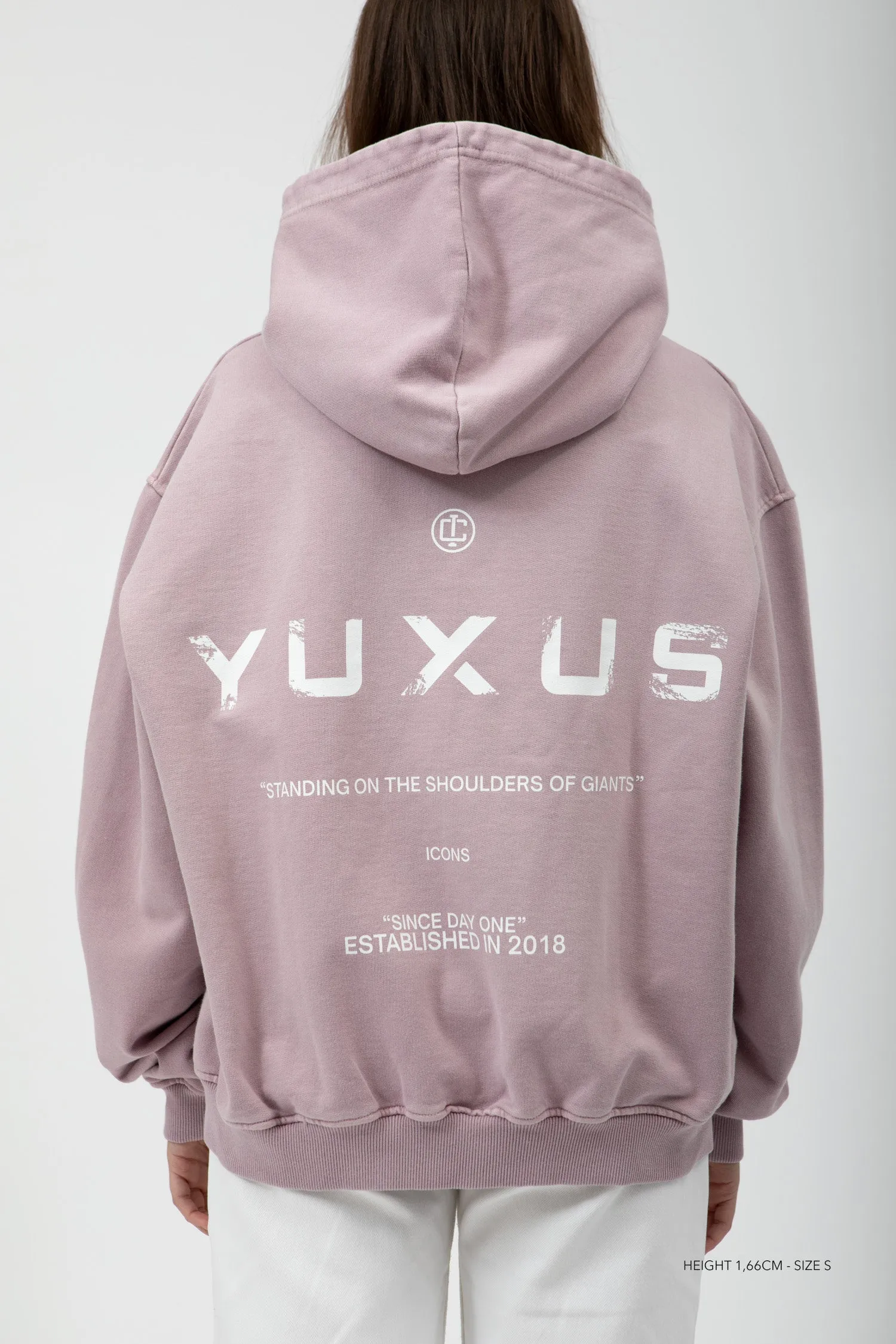 BLOSSOM ICONS HOODIE