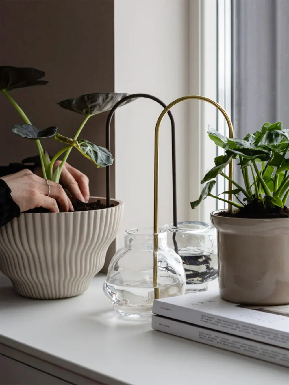 Plant Straw Brass