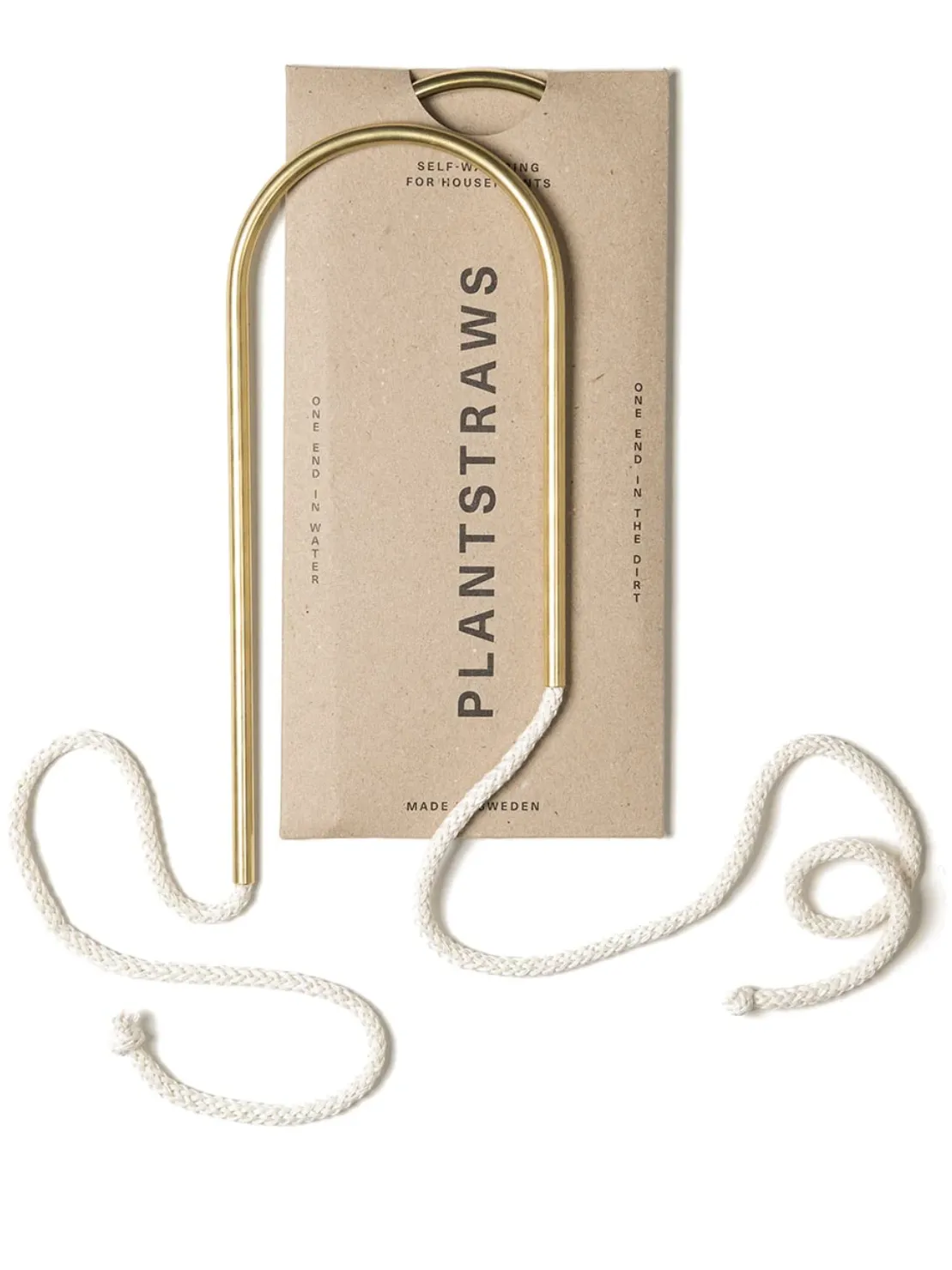 Plant Straw Brass