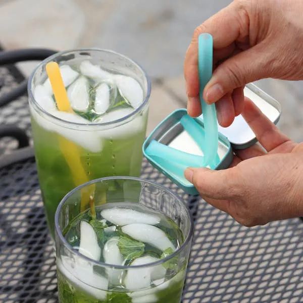 Reusable Silicon Straw + Tin