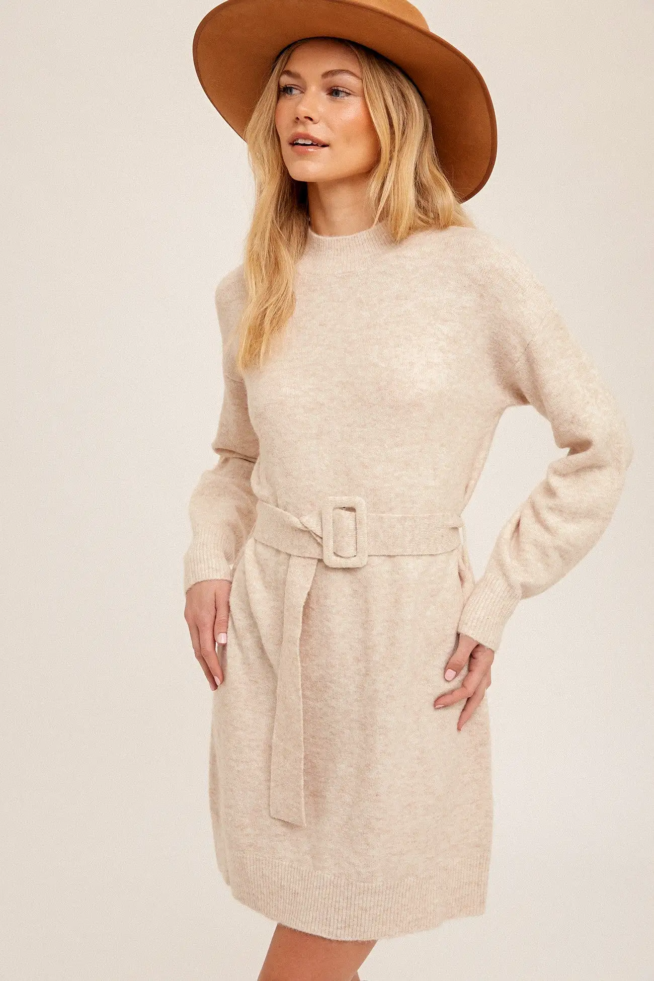 Wishful Dreamer Belted Sweater Dress